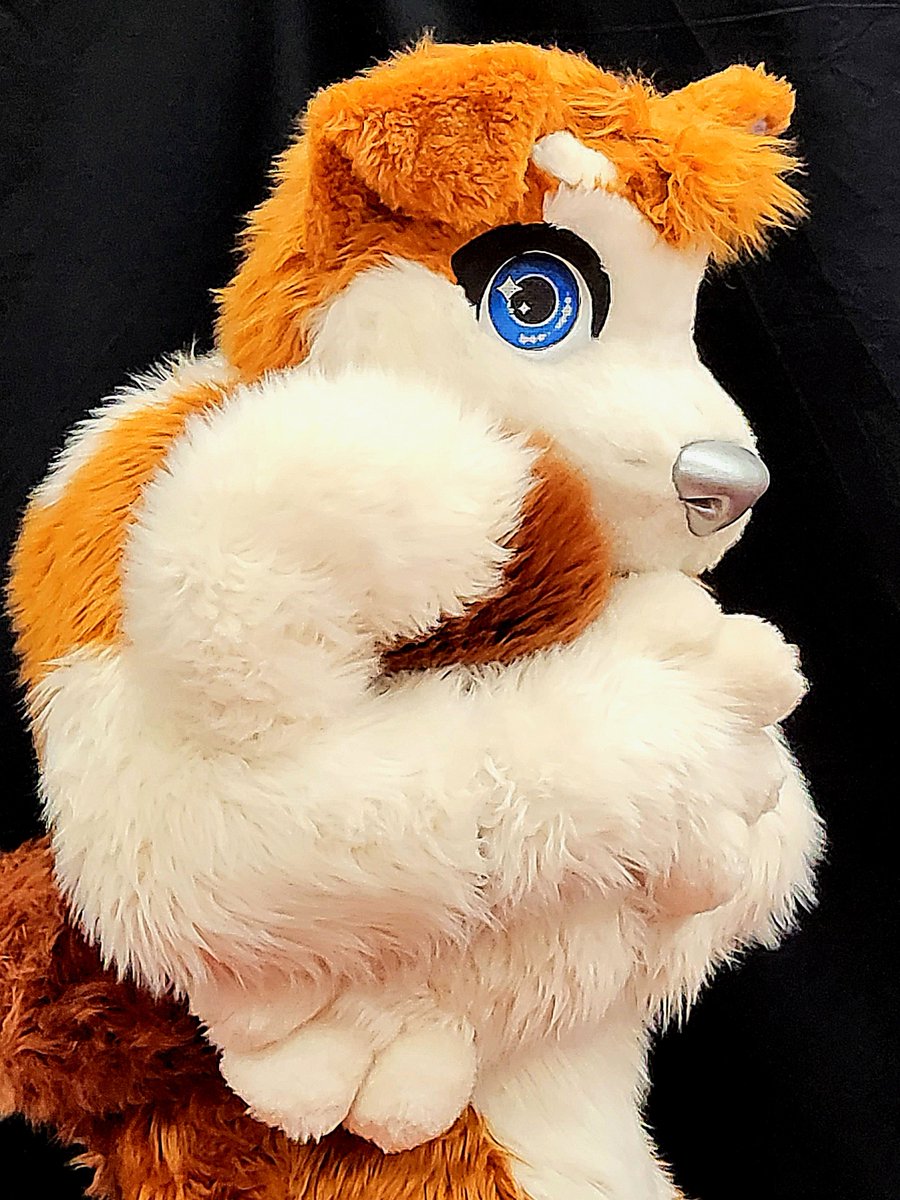 artheon_furry's tweet photo. Say "Bonjour" to the shy dog! 😳🐕

#furry #furries #furryfandom #fursuit #fursuiter https://t.co/3yTcY2Vg75