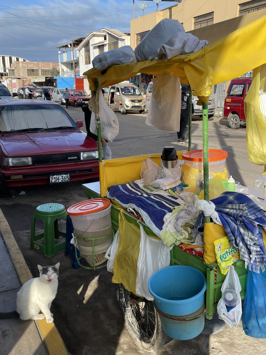 El michi vendedor no existe:
El michi vendedor ☺️