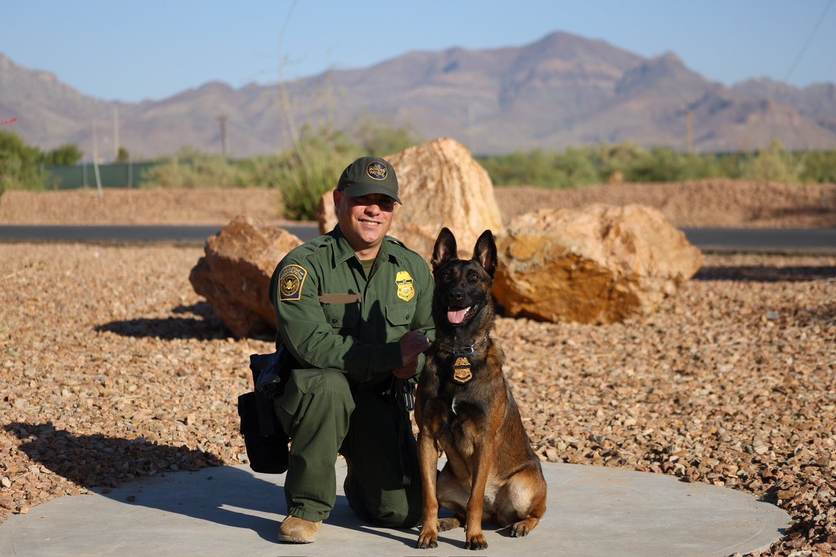 USBPChiefELC's tweet image. A round of aPAWs!

The El Centro Sector welcomes 3 additional Border Patrol Canine Handlers. Their tireless effort and resolve demonstrated throughout the rigorous #K9 training has now prepared them to go out and safeguard our nation’s borders.

#BorderPatrol #K9handlers