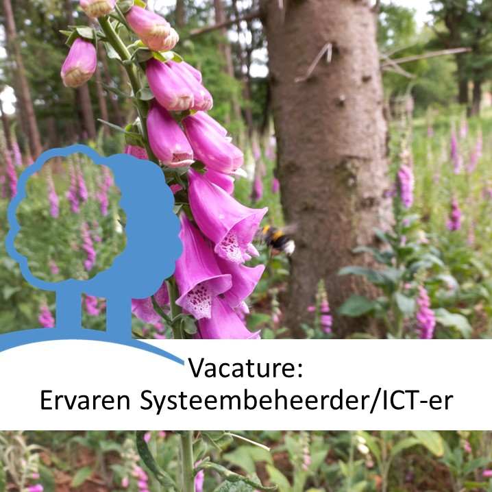 #VACATURE
Bosgroep Noord-Oost Nederland zoekt een Ervaren Systeembeheerder/ICT-er. De standplaats is Witharen (bij Ommen), maar hybride werken is geen probleem.
Nieuwsgierig? Check 👇
lnkd.in/evXcuqhP
