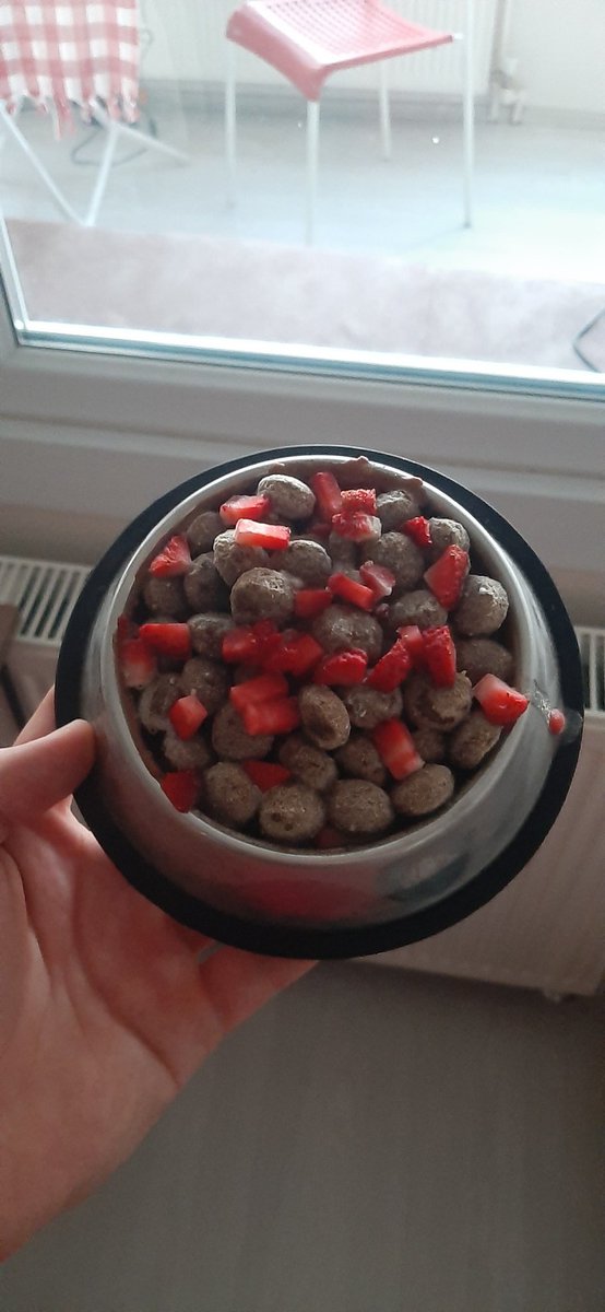 Benim anneşim kaba fıştık ezmesi sürüp mamayı yoğurtlayıp bna dondurma yapıyo meloçum gel ısmarlim