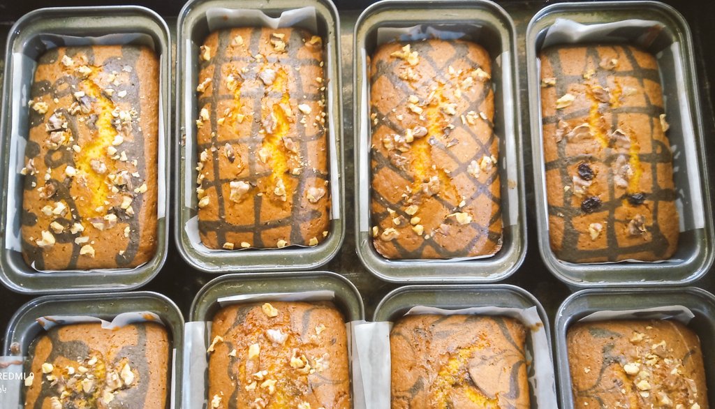 ژیکان⁦⁦⁦*⋆ᐪᐜᑊᵗᵗᵉʳ⃝✎⁎°.·🏴 🐐 tweet media