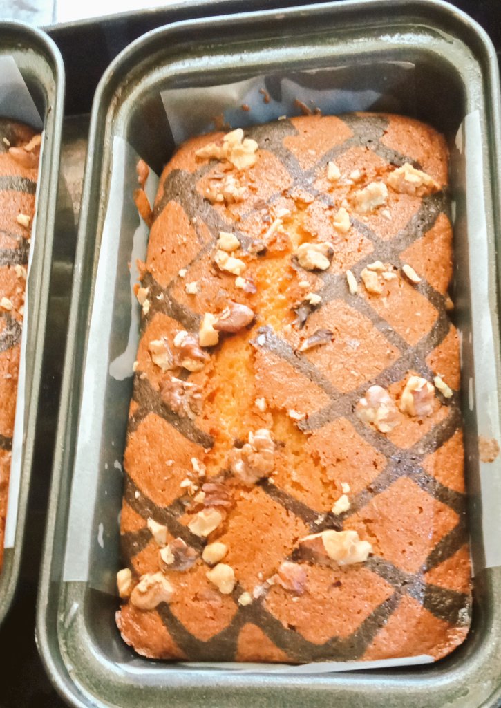 ژیکان⁦⁦⁦*⋆ᐪᐜᑊᵗᵗᵉʳ⃝✎⁎°.·🏴 🐐 tweet media