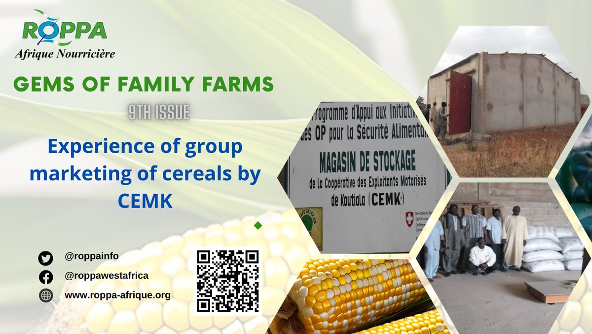 roppainfo's tweet photo. 🌽🎉 Discover CEMK's exemplary practice in Mali in our 9th issue of "Gems of Family Farms"! Grouped marketing of cereals is transforming farmers' lives. Learn more 👉https://t.co/WrW0nASueL #ROPPA #Agriculture #Innovation #CEMK https://t.co/jADyRLxomw