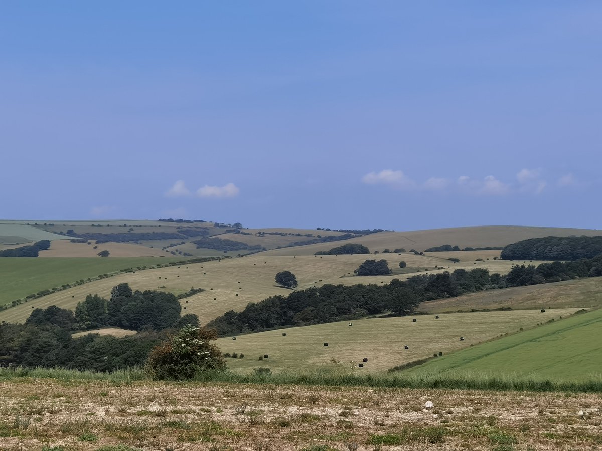 Simon Knott tweet media