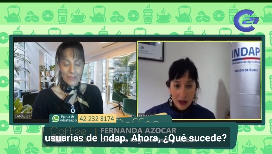 INDAPÑuble (@indapnuble) on Twitter photo 🚨A esta hora, directora regional de INDAP Ñuble en entrevista @Canal_21tv #Coffebreak para dar a conocer el quehacer de <a href="/INDAP_Chile/">INDAP_Chile</a> y la acción frente a la emergencia 🚨A esta hora, directora regional de INDAP Ñuble en entrevista @Canal_21tv #Coffebreak para dar a conocer el quehacer de <a href="/INDAP_Chile/">INDAP_Chile</a> y la acción frente a la emergencia