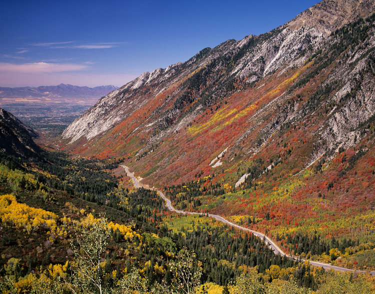 WasatchBCAlli's tweet photo. 🧵While we are incredibly disappointed that UDOT has elected to move forward with the gondola, this is not the end of the road.

📷 https://t.co/f0UMpkr9um https://t.co/eEkYylfW9P