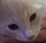 LetsGoDrawCoff1's tweet photo. @Sombrita_21 @GuonejoCubano Ohhhhhhhh iba a poner exactamente lo mismoooo jajajajaja https://t.co/8I52jaHVK3