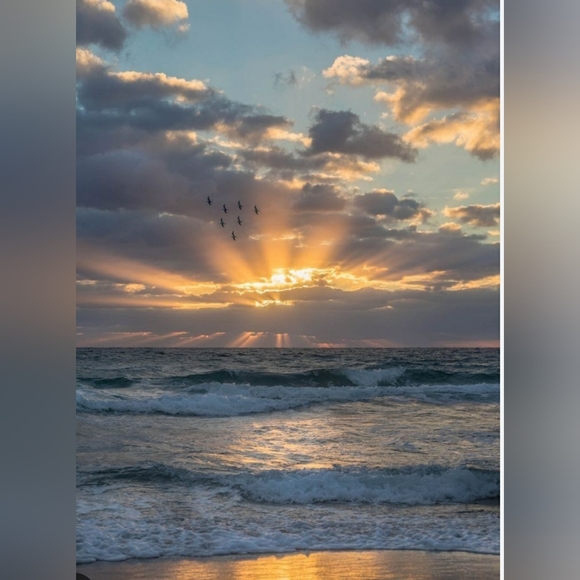 FibroFit's tweet image. So good I had to share! Check out all the items I'm loving on @Poshmarkapp #poshmark #fashion #style #shopmycloset #louisvuitton #coach: posh.mk/LJYQY2o1oBb