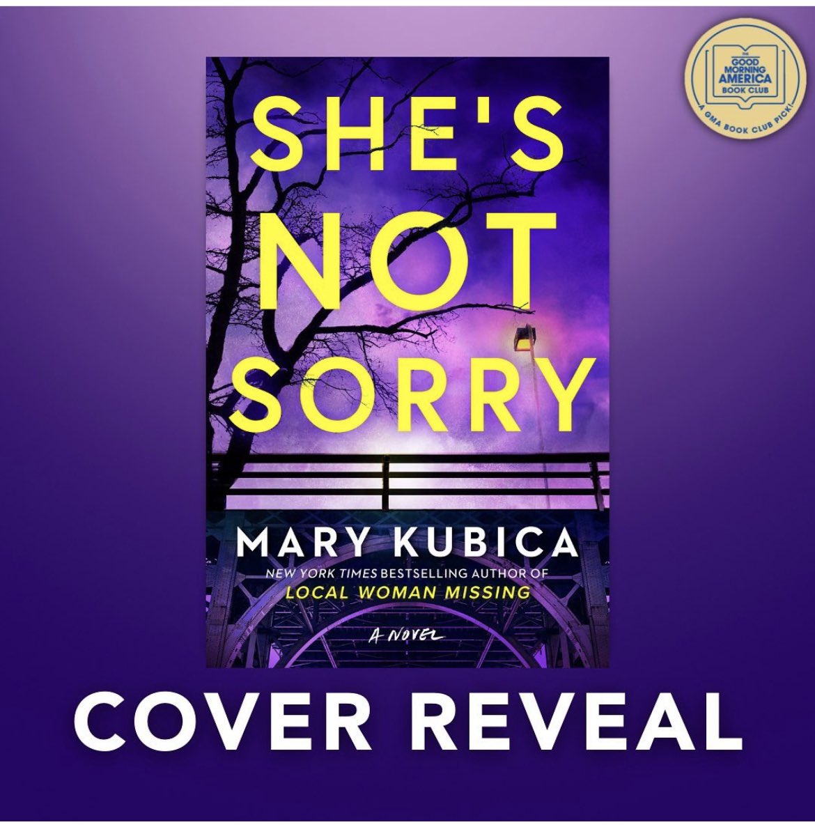 Review: Just the Nicest Couple by Mary Kubica - Book Club Chat