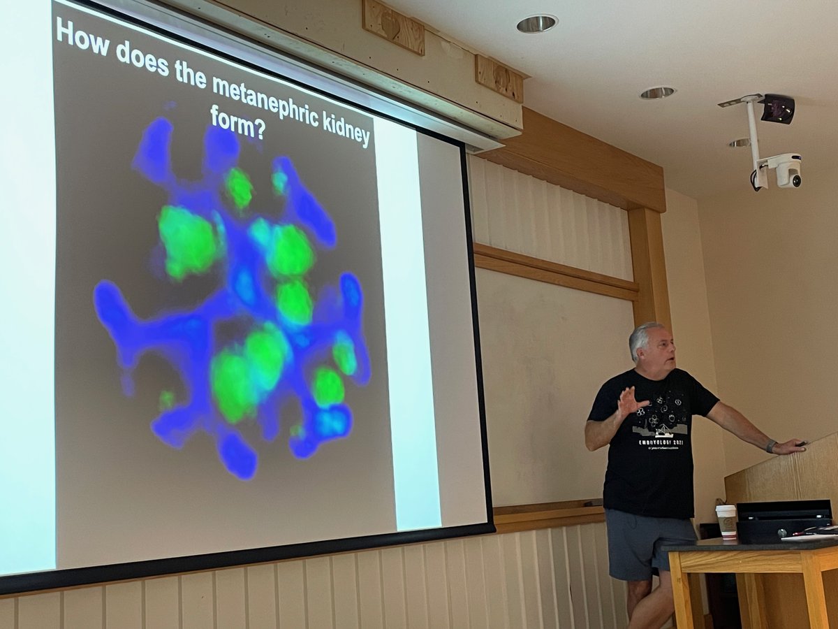 Tom Carroll gets his Ducts in a Rowe and talks Kidney development at #Embryo23. Take home message: It is NOT just a filter.