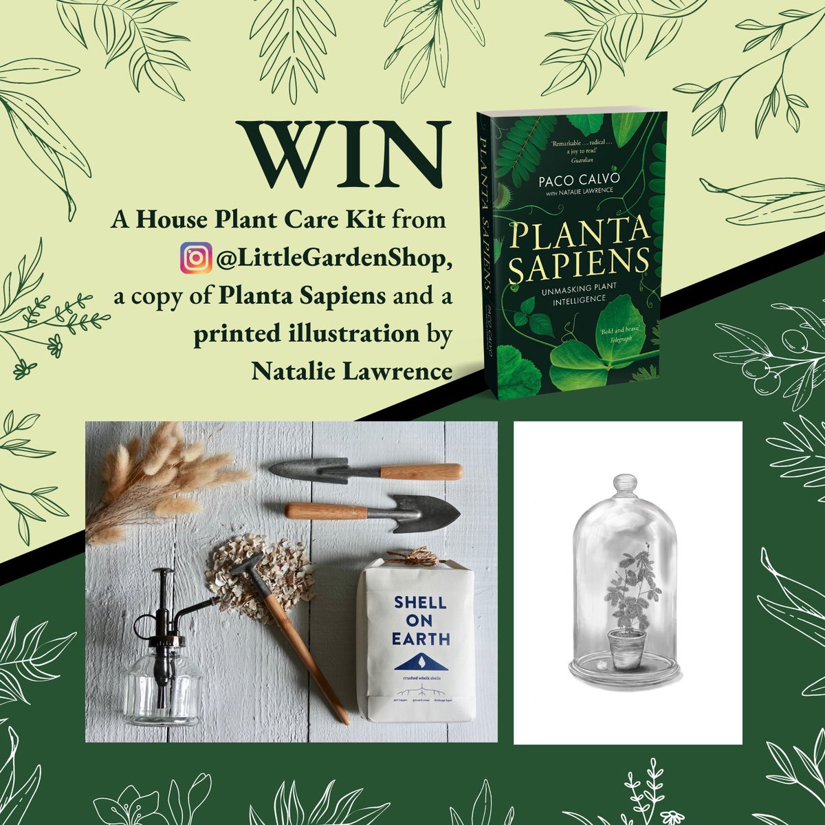 🌱WIN🌱 💚A house plant care kit from LittleGardenShop 💚A paperback copy of Planta Sapiens by Paco Calvo and @the_manticore_  💚A printed illustration by @the_manticore_  Simply retweet for your chance to win! Winner will be contacted by @LittleBrownUK after the 27th July.