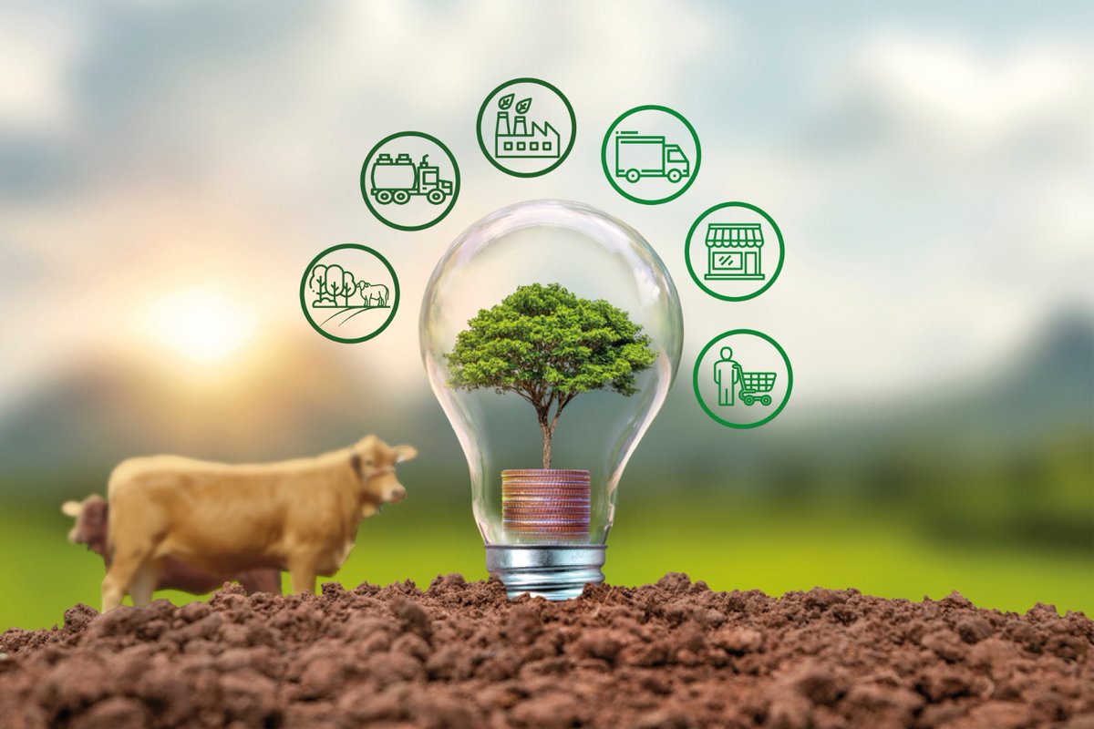 CoolecheraCo's tweet photo. Coolechera avanza positivamente en alianza con la empresa #e2 para lograr eficiencia, confiabilidad y productividad en sus procesos extendiendo el rango de acción y sin dejar a un lado la #sostenibilidad 

Conoce más aquí: 
👇👇👇

https://t.co/X9OrfGNpAz https://t.co/h1EGtJXzrw