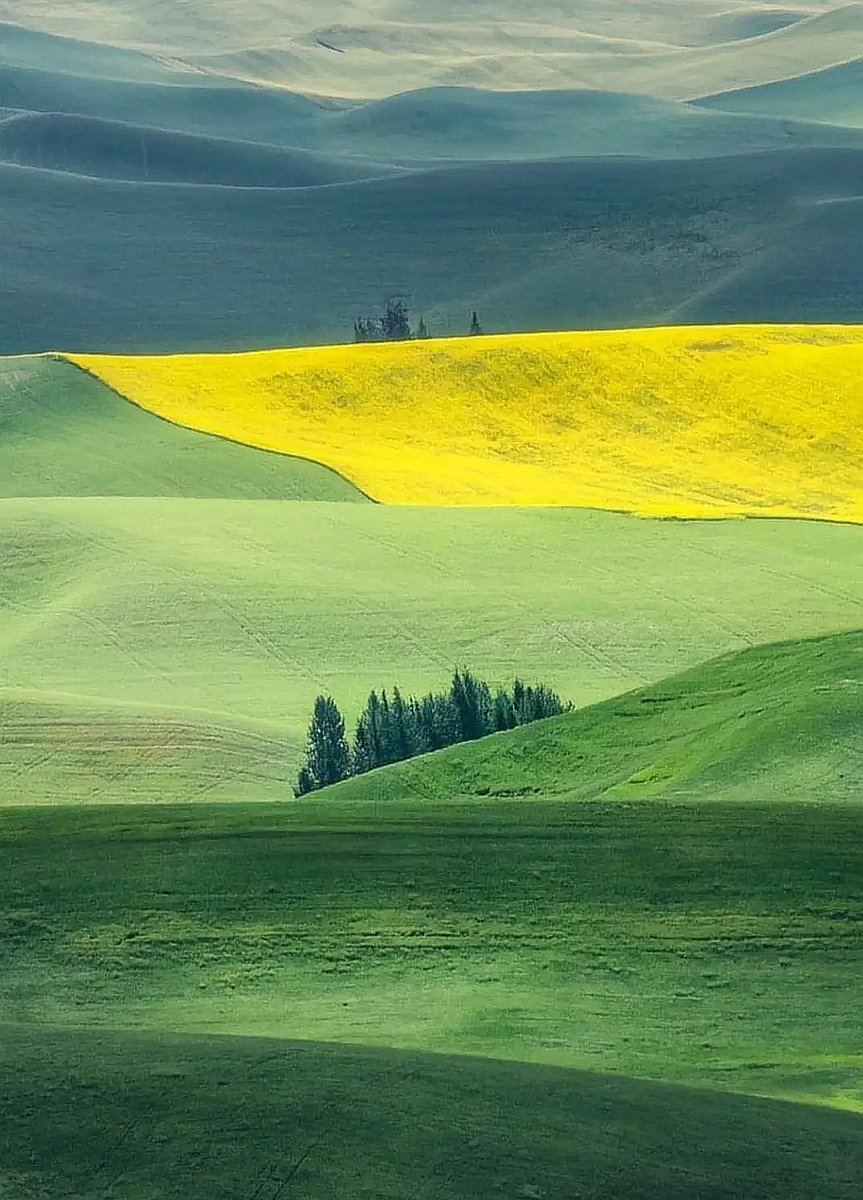 If you want to keep happiness, you have to share it.

Dale Carnegie