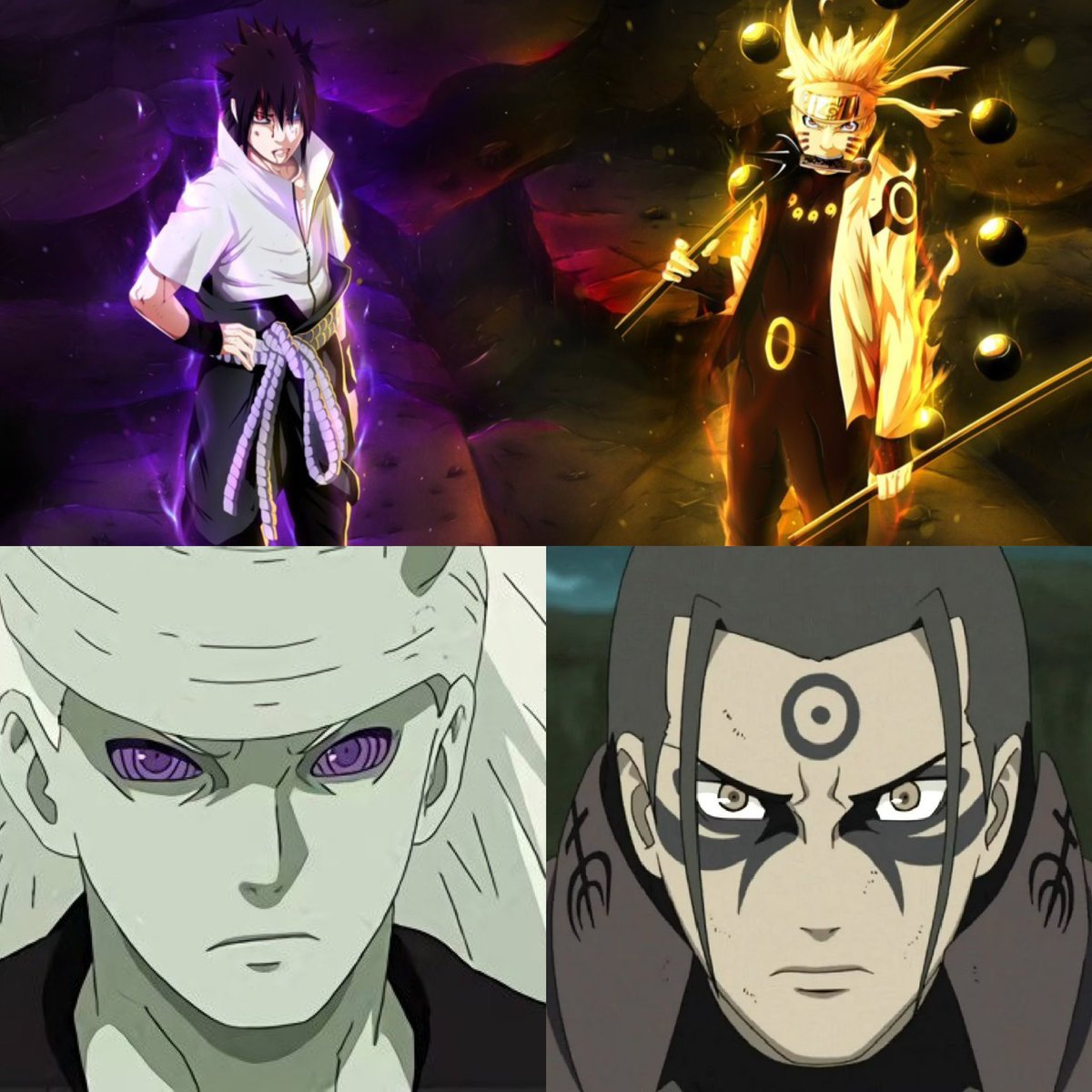 Shadow👑🦁 tweet media