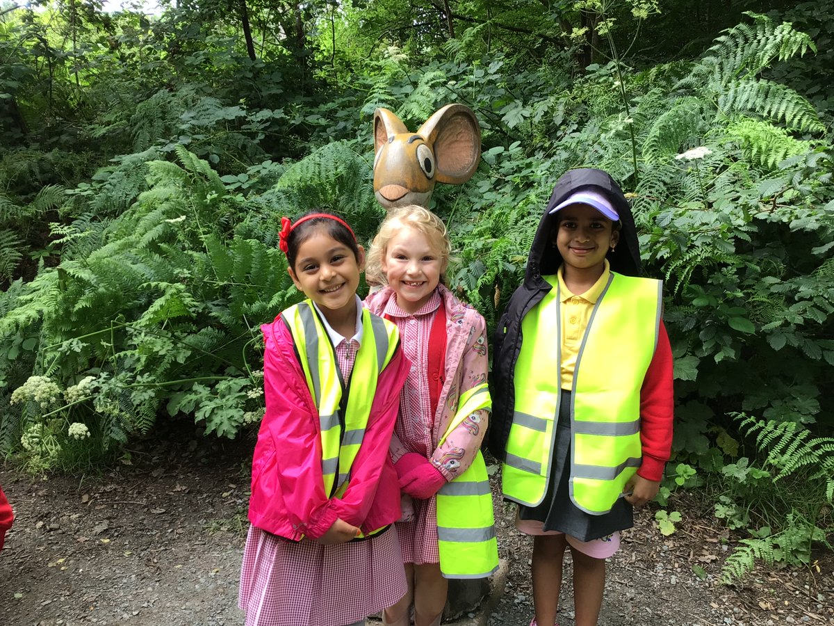 Year One Phoenix Primary tweet media