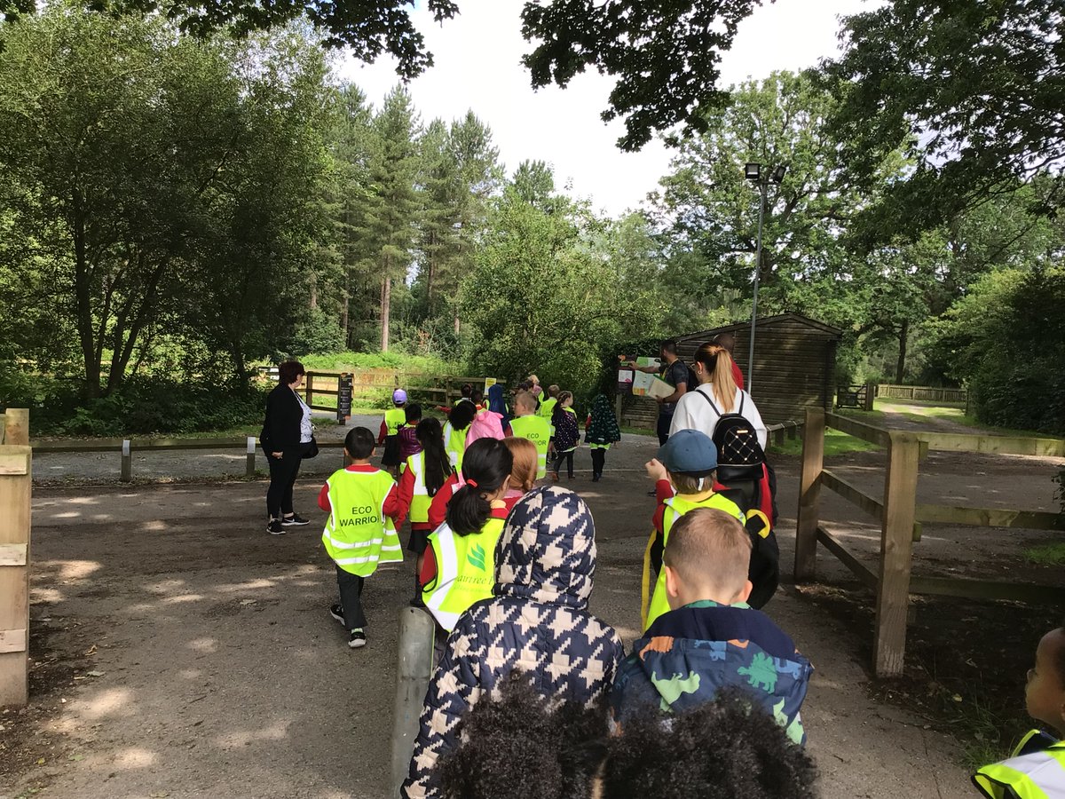 Year One Phoenix Primary tweet media