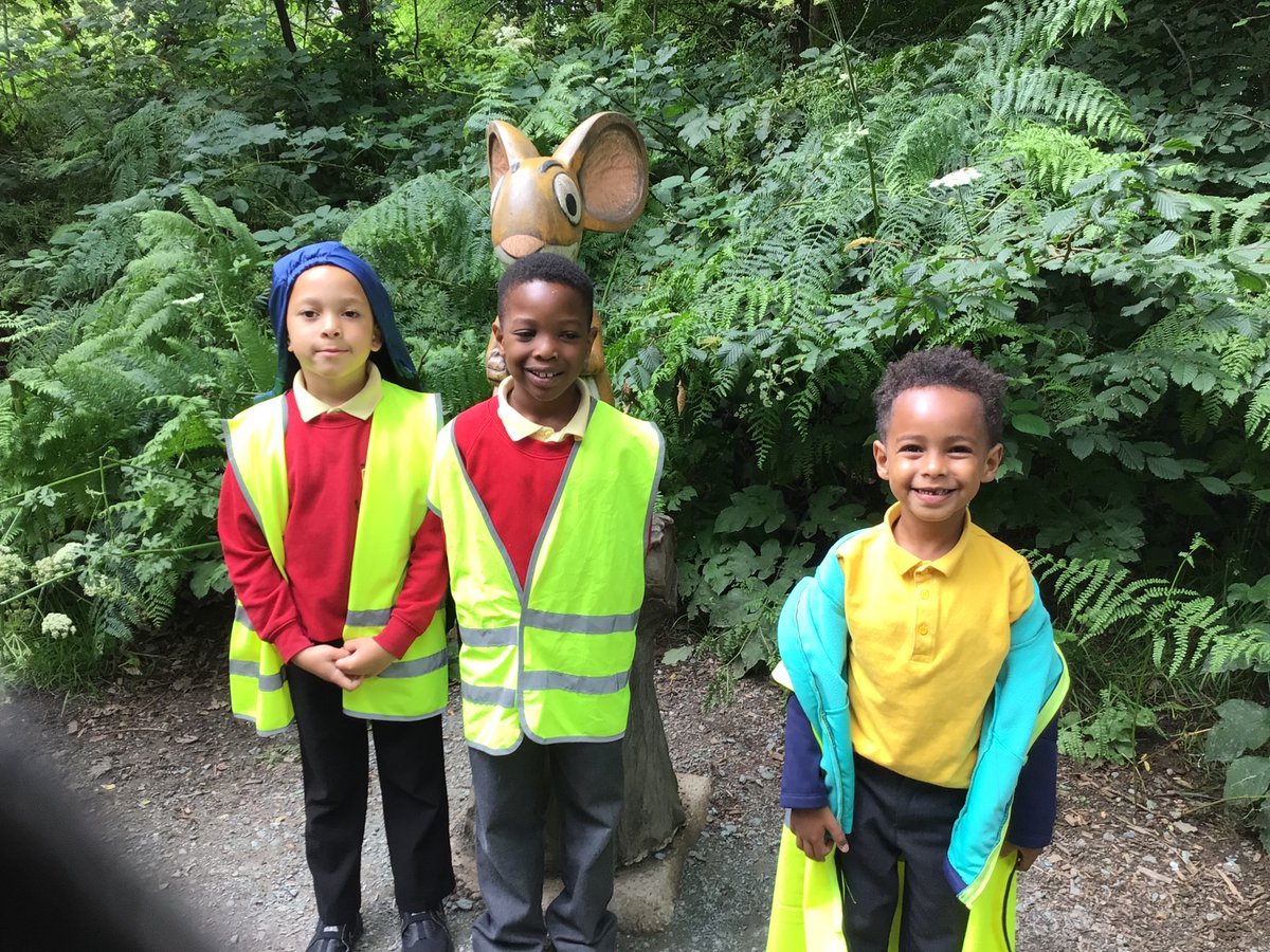 Year One Phoenix Primary tweet media