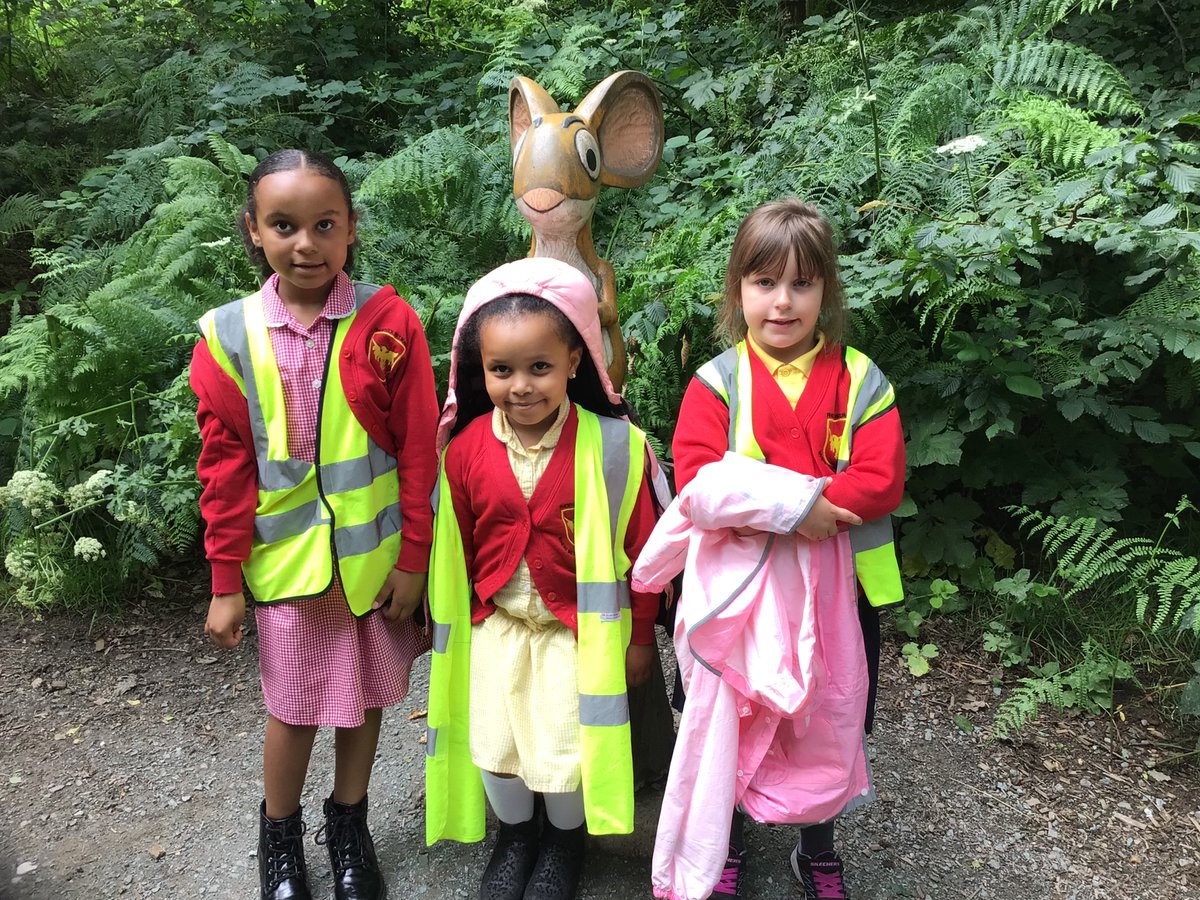 Year One Phoenix Primary tweet media