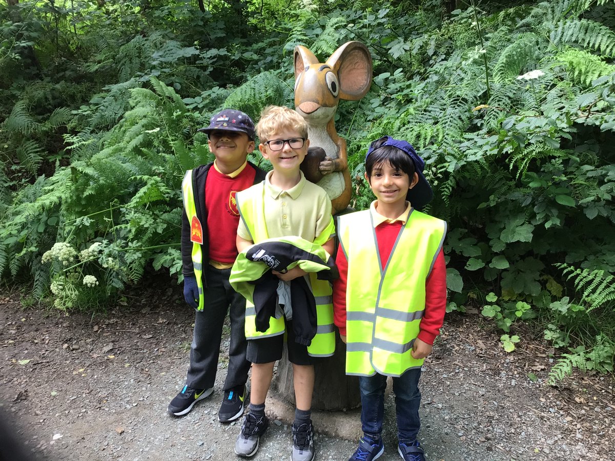 Year One Phoenix Primary tweet media