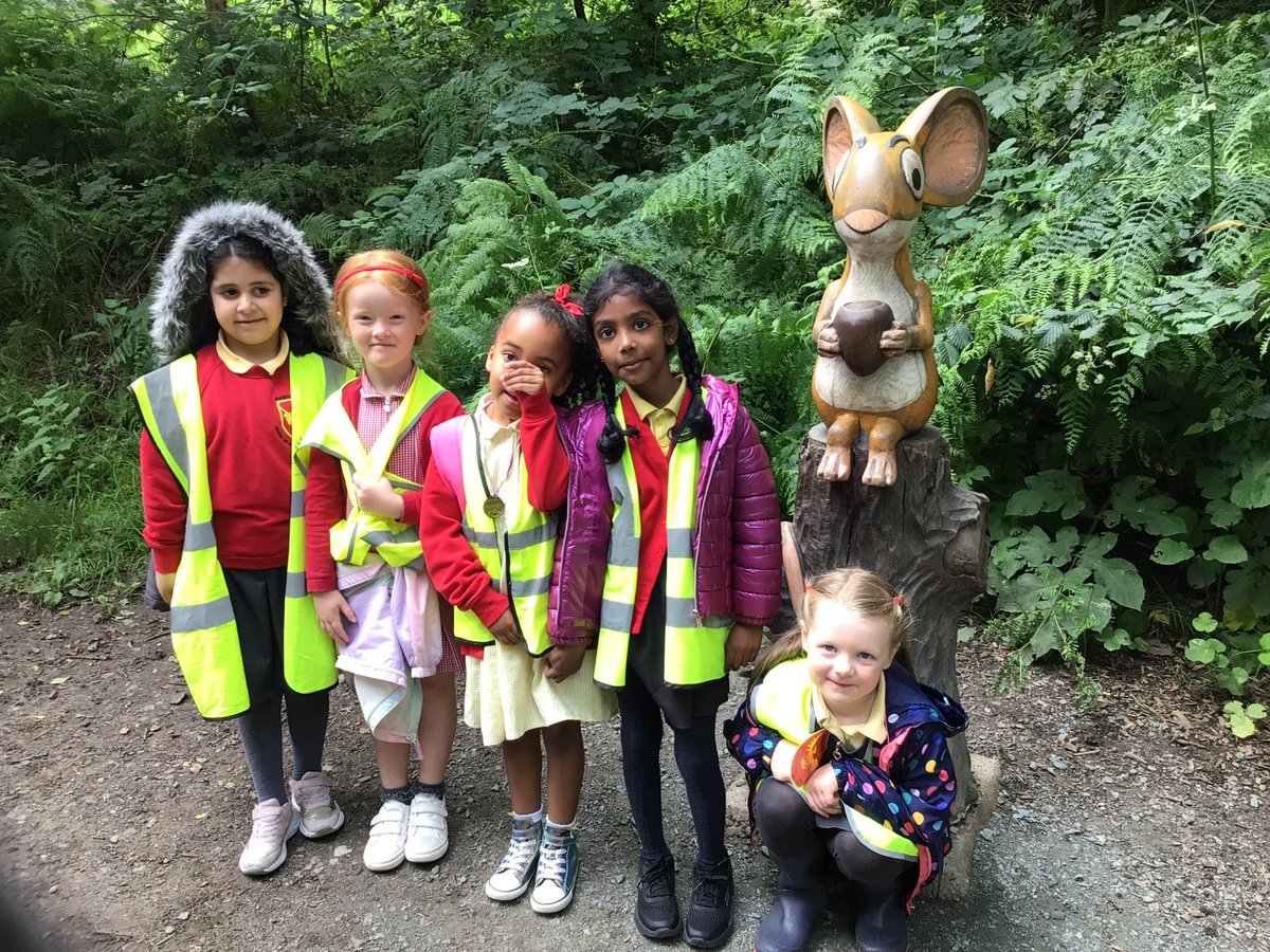 Year One Phoenix Primary tweet media