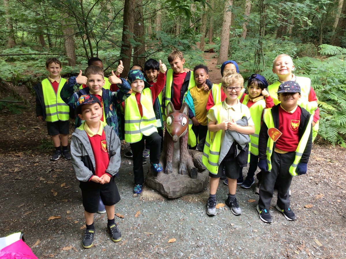 Year One Phoenix Primary tweet media