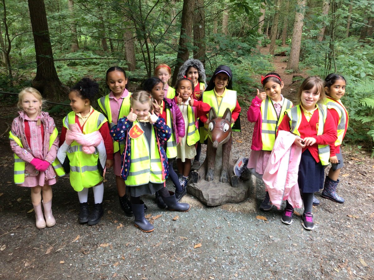 Year One Phoenix Primary tweet media