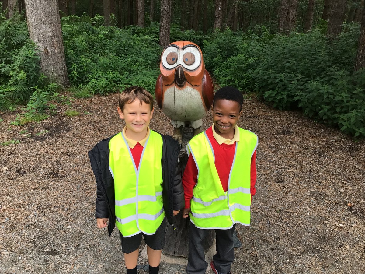 Year One Phoenix Primary tweet media