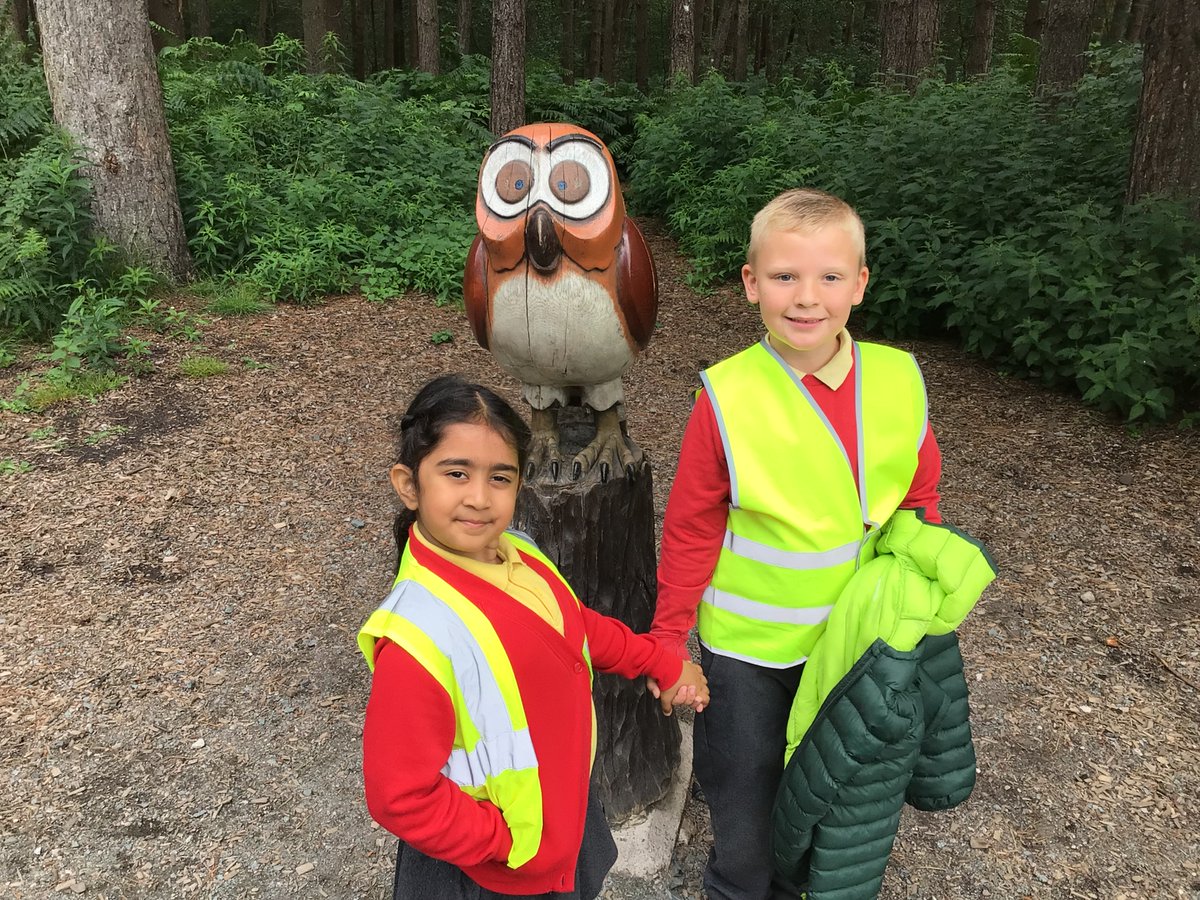 Year One Phoenix Primary tweet media