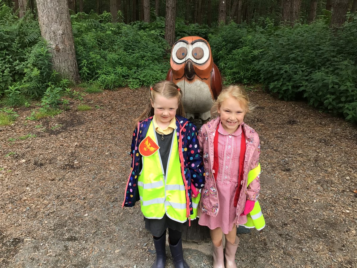 Year One Phoenix Primary tweet media