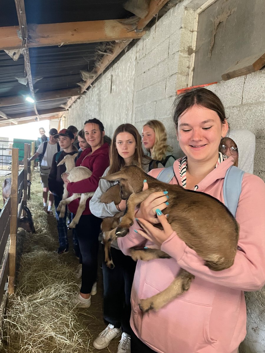 UckColl_ML's tweet photo. Day 4 off to a very wholesome start with a visit to a little goat’s cheese farm - learning how the goats are raised and looked after, how to make the cheese and tasting different products 🐐 #Y9Normandy https://t.co/hMFtECAMjg