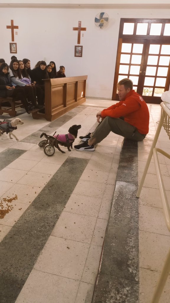 aaguvolpato's tweet photo. Hoy Chinita, Frida y Porota junto al Polaco estuvieron  dando una charla en una escuela de Santiago del Estero capital. 👇🤍 https://t.co/yLveyRoDYI