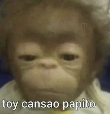 danilo de jesús tweet media