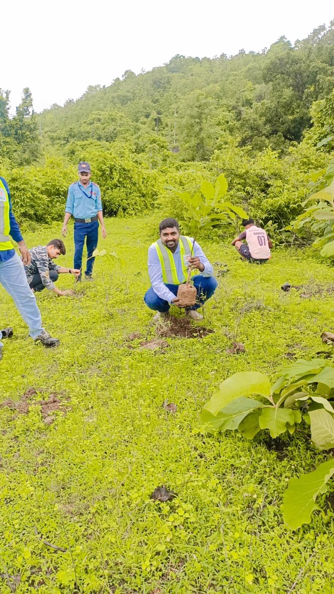 jeevi777's tweet photo. Celebrating #AmritMahotsav,  🌳tree plantation drive near Sakra Dam,  Vadodra Mumbai Expressway Project-12, Palghar, Maharashtra. 

#NHAI #GreenHighways #BuildingANation
#MCL #MCLVME12
#NationwideTreePlantation 
#AmritMahotsav https://t.co/I16s1F6Jtv