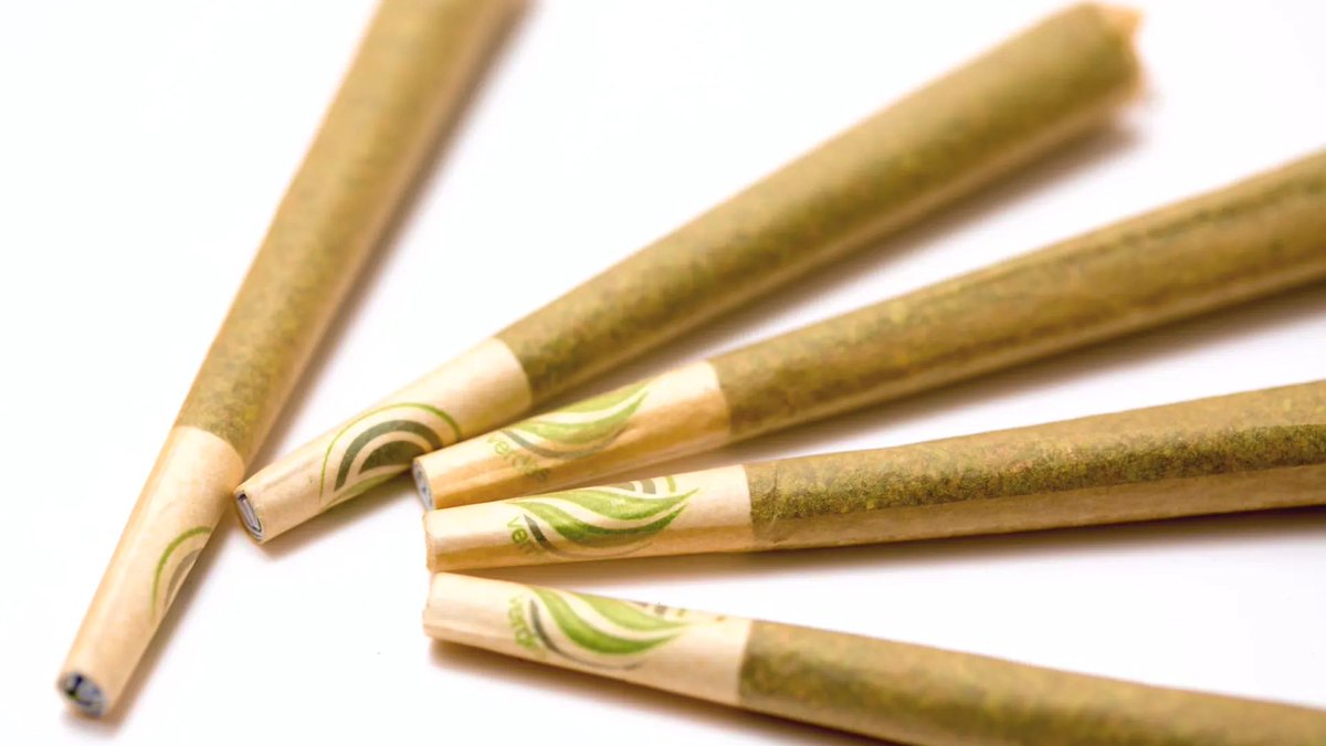 VerdesNM's tweet image. Thursday Thurs’Jays are the best. 20% off pre-rolls all day @VerdesNM bit.ly/VerdesNM #preroll #cannabis #cannabiscommunity #cannabisculture #thursday #cannabisnewmexico #cannabisalbuquerque #cannabissantafe