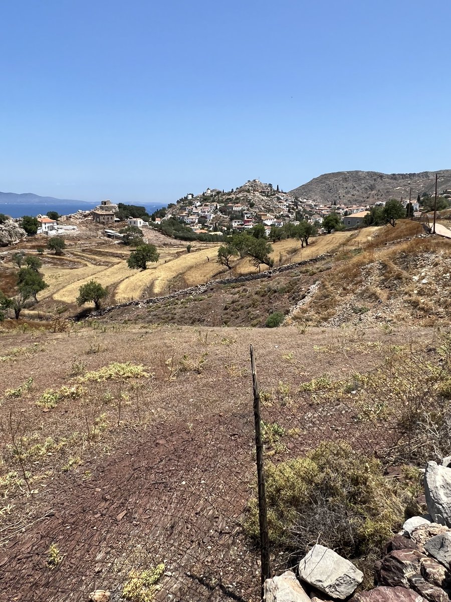 Gerard Maguire tweet media