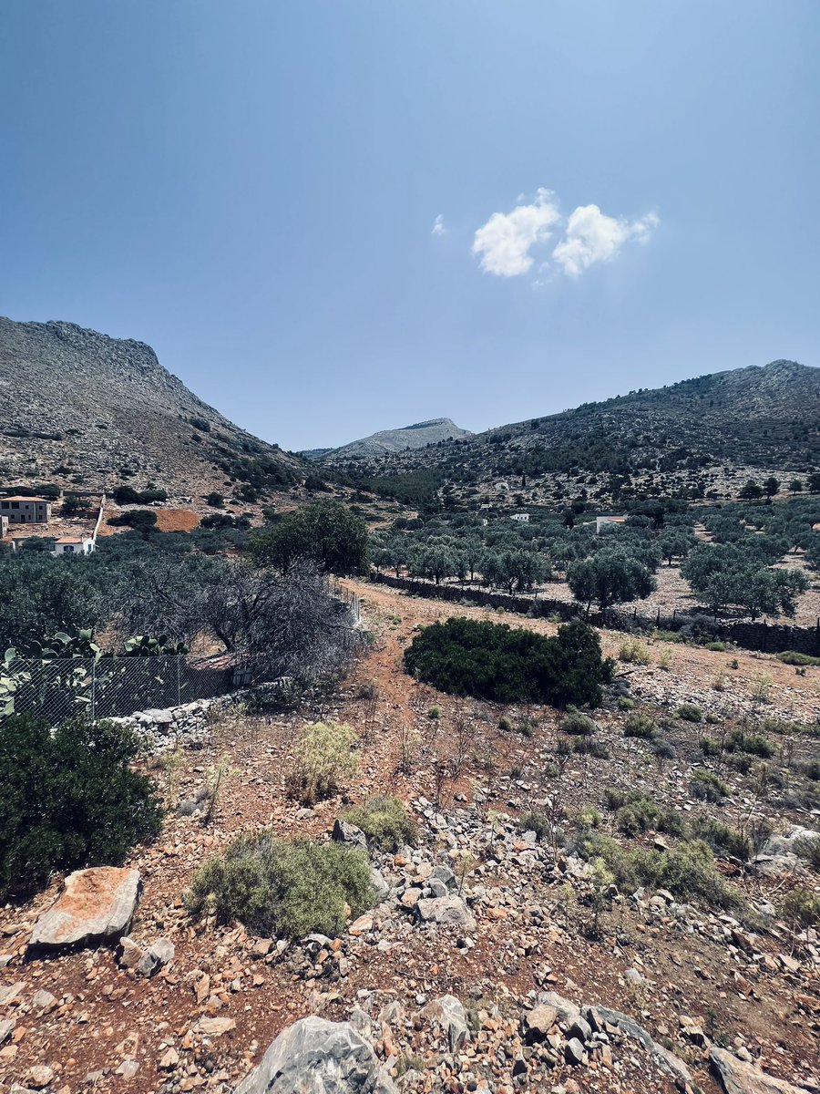 Gerard Maguire tweet media