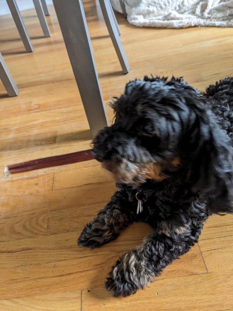 Nick Kornek tweet media