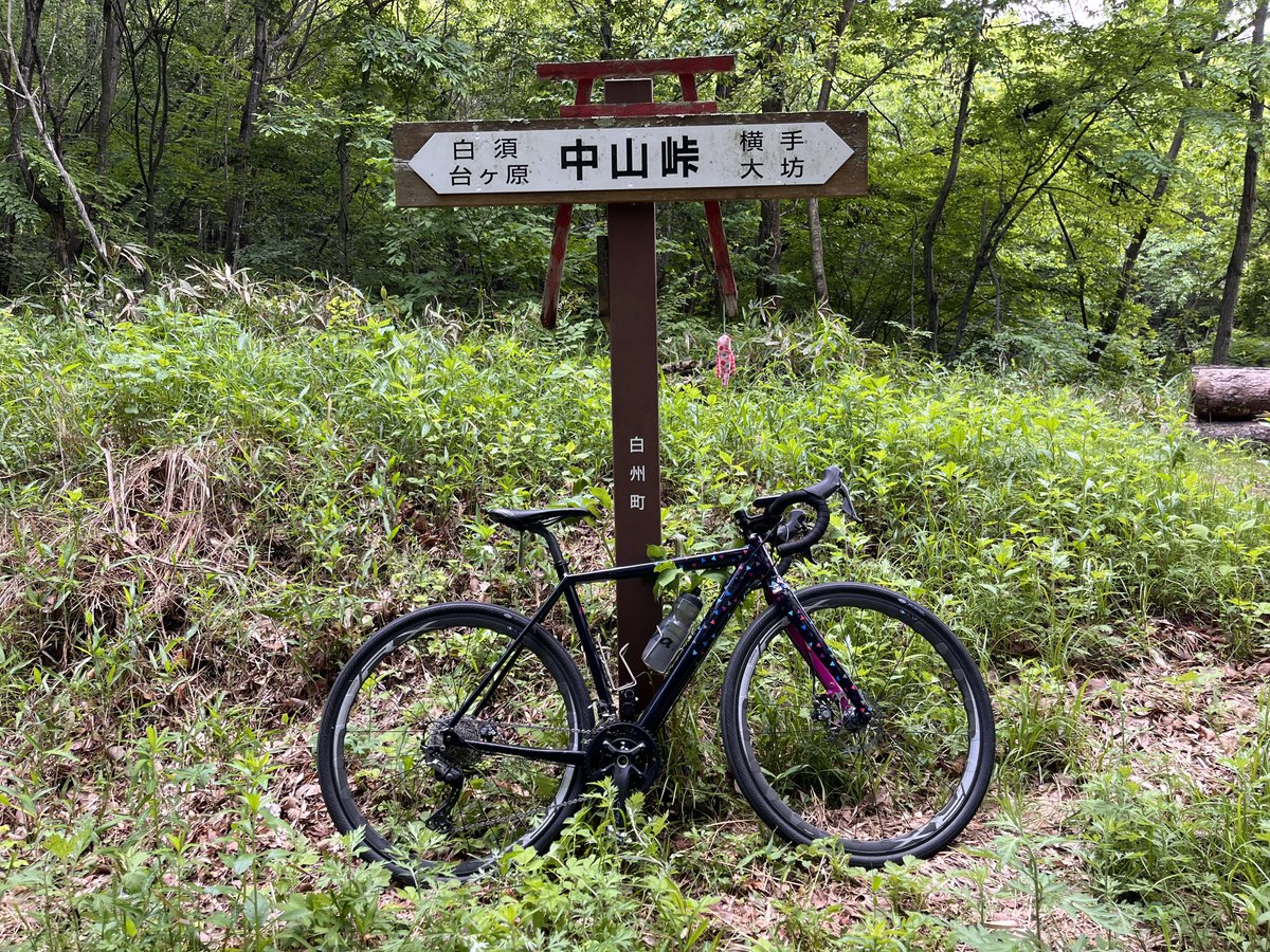 azami's tweet photo. うちのかわいこちゃんです #swampthings #他人と被らない自転車 https://t.co/gTHKsJQ0z7