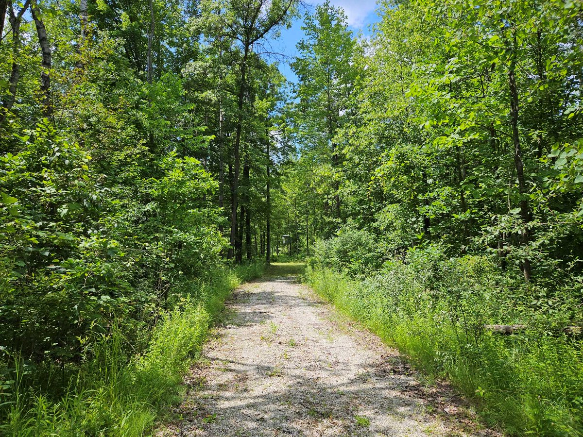 blueVortexnet's tweet photo. This 20-acre vacant land parcel was just added to Hunting4Land's world online...  https://t.co/q3n3JhzyU9 https://t.co/WVYaLzbl7b