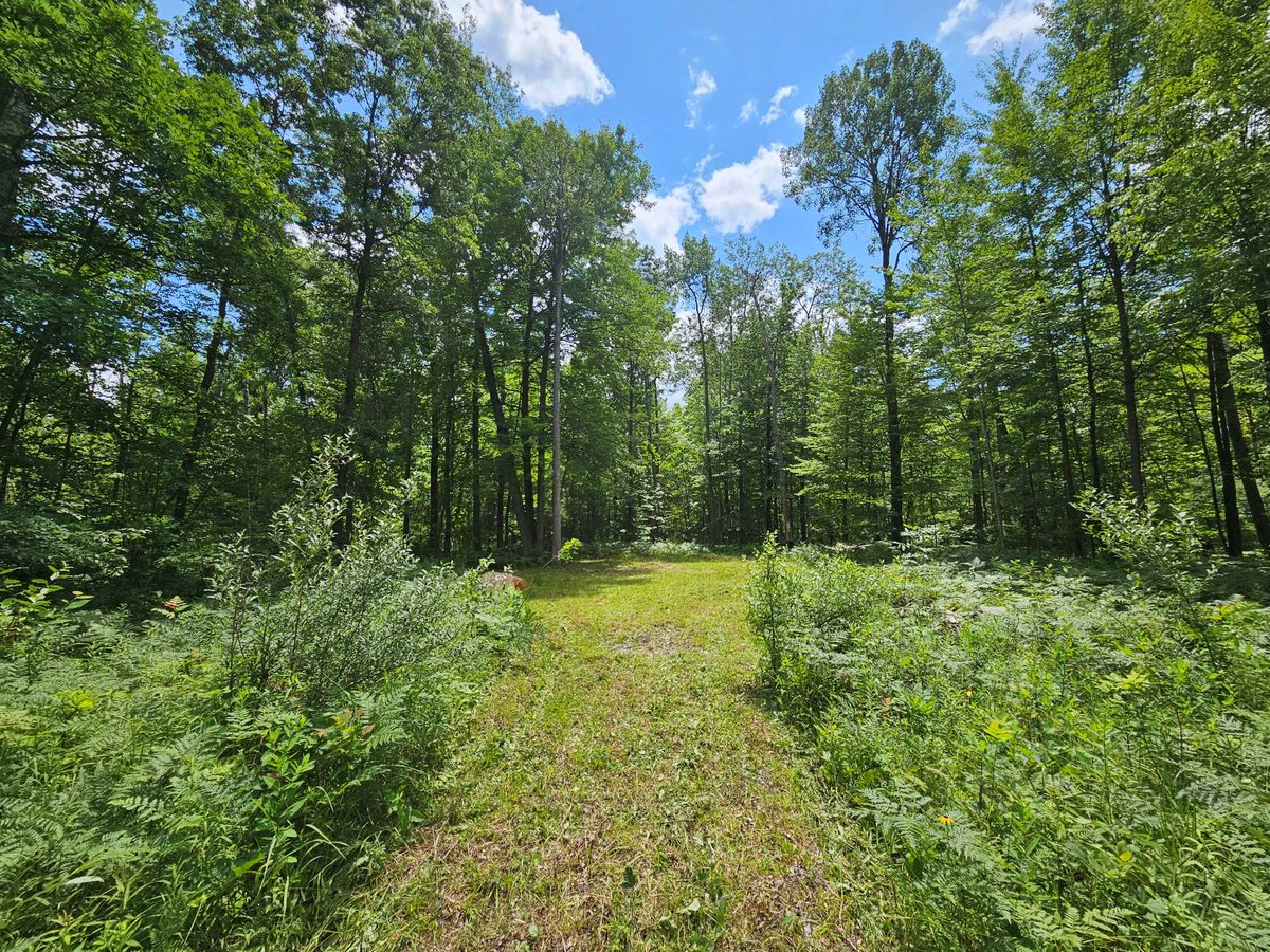 blueVortexnet's tweet photo. This 20-acre vacant land parcel was just added to Hunting4Land's world online...  https://t.co/q3n3JhzyU9 https://t.co/WVYaLzbl7b