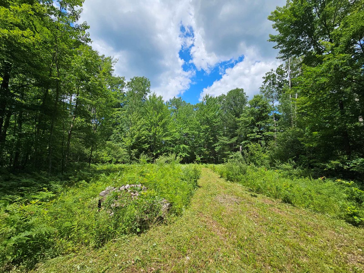 blueVortexnet's tweet photo. This 20-acre vacant land parcel was just added to Hunting4Land's world online...  https://t.co/q3n3JhzyU9 https://t.co/WVYaLzbl7b