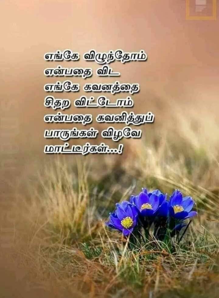 umathiru16's tweet photo. https://t.co/Wc2oodmXWP