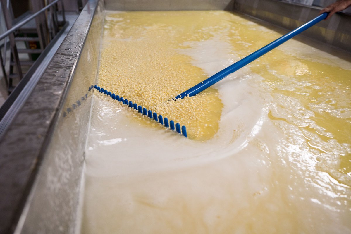 WaterschapHHNK's tweet photo. Met CONO Kaasmakers vonden we een duurzame oplossing voor afvalwater uit kaasproductieproces. Dit water gaat naar rwzi Zuidoostbeemster en voedt daar de bacteriën en bevordert het zuiveringsproces. Een CO₂-eq reductie van 12,5% voor CONO. Win-winsituatie!
https://t.co/DB7JoQ4uvb https://t.co/wqiTBxToD7