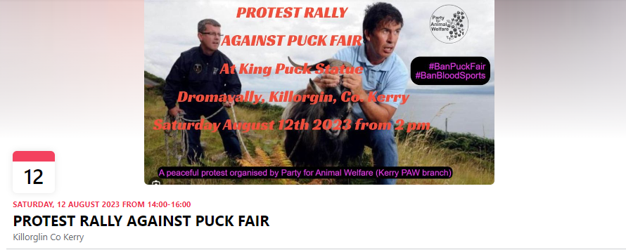 AnimalPartyIE's tweet photo. PROTEST RALLY AGAINST PUCKFAIR
SATURDAY, 12 AUGUST 2023 FROM 2 PM
Killorglin Co Kerry. Share link: https://t.co/P6JIvdc9lp
Bring your own placards to the protest please?
#Puckfair should be #RTEinvestigates too!
#BanPuckFair ππ
#BanBloodSports
#EndAnimalsInEntertainment ππ https://t.co/zT7OUXOx8q