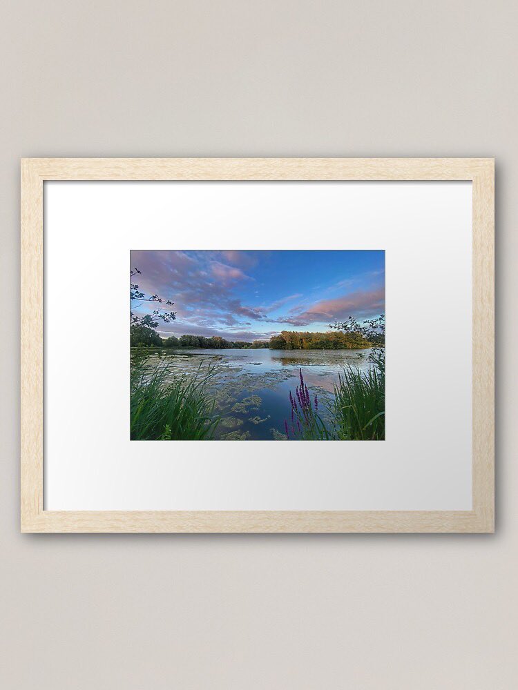 LifeMyriad's tweet photo. Prints of Whitlingham available via the Redbubble link in my bio. Worldwide delivery. Summertime colours to make your mouth water! #Whitlingham #Norwich https://t.co/R5J4A1R70p