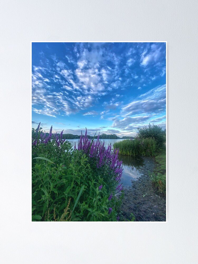 LifeMyriad's tweet photo. Prints of Whitlingham available via the Redbubble link in my bio. Worldwide delivery. Summertime colours to make your mouth water! #Whitlingham #Norwich https://t.co/R5J4A1R70p