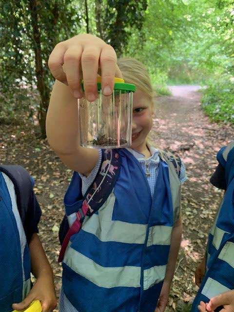 Y2@fircroft.family (@y2_fircroft) on Twitter photo To round up our learning Year 2 had fun in the woods hunting for mini-beasts! To round up our learning Year 2 had fun in the woods hunting for mini-beasts!