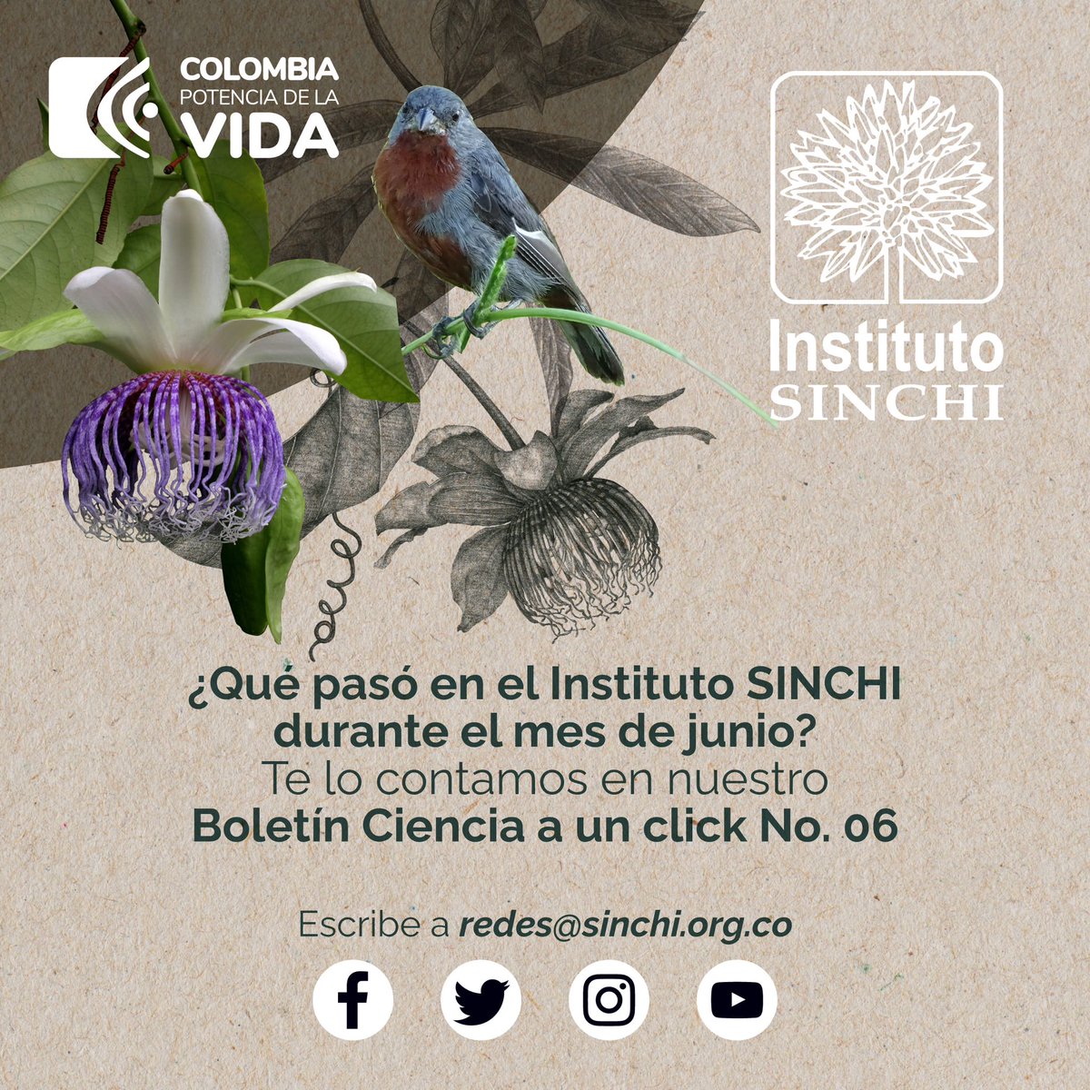 Entérate qué pasó en el #InstitutoSINCHI durante el mes de junio con nuestro boletín mensual “Ciencia a un clic”💡📲

🧑🏽‍💻 mailchi.mp/7c56752fd3e4/c…