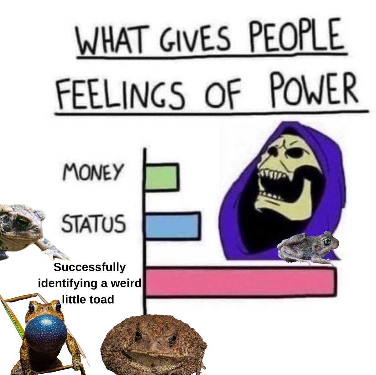 🐸 🧎